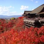 古都「京都」で観光しながらガッツリ稼ぐ。京都は観光客が多く稼げる風俗店も多い！