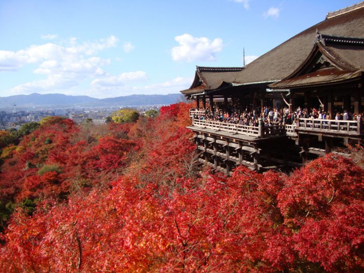 古都「京都」で観光しながらガッツリ稼ぐ。京都は観光客が多く稼げる風俗店も多い！